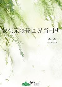我在无限轮回界当司机